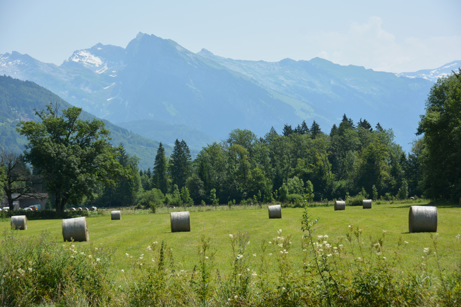 Environ de Samoëns en été.